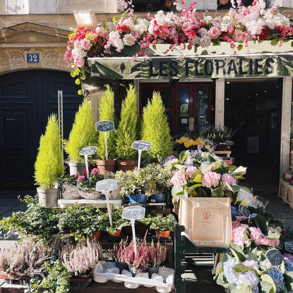 • logan k• - Picture 13 of 15